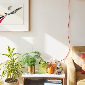 May include: A white side table with a green plant, a pumpkin, and a small rocket-shaped object. The table is next to a yellow couch with a red cord running from the wall to the table.
