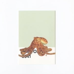 Collage originale su cartolina - O sta per Octopus