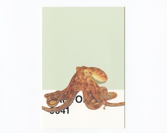 Original Collage on Postcard - O is for Octopus