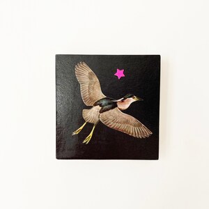 May include: A black square with a brown and black bird in flight against a black background. A pink star is in the upper left corner of the square.