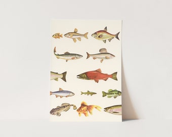 ORIGINAL COLLAGE - Fishing Line