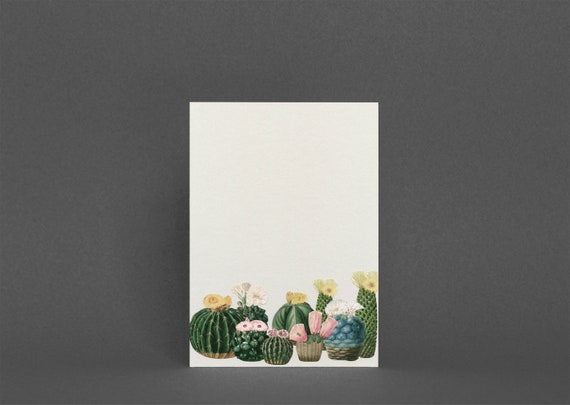 Greetings Card - Cactus Garden