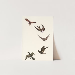 ORIGINAL COLLAGE - Holding Pattern