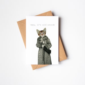 Cat Christmas Card Pack - Baby, It&#39;s Cold Outside
