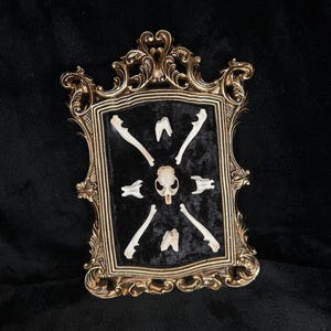 Mouse skull bone art