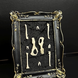 Small animal bone wall art