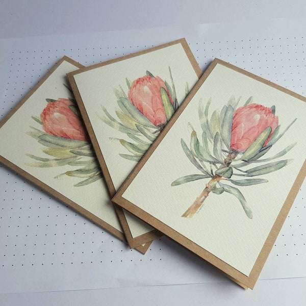 Watercolour Card or Notebook of a Protea in A6 size - Print on textured paper for a Thankyou or Friendship. Blank inside.