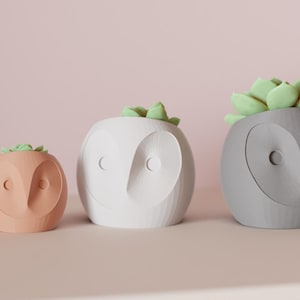Op de afbeelding: Drie uilvormige plantenbakken, elk met een vetplant. De plantenbakken zijn perzik, wit en grijs. De uilengezichten hebben grote oog- en snaveldetails. De achtergrond is effen lichtroze.