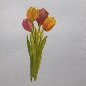Tulpen-Aquarell Illustration