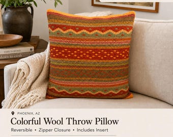 Vintage Colorful Handwoven Wool Throw Pillow Reversible Black Back Zip Closure