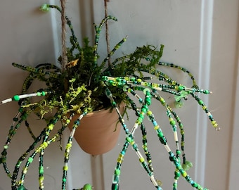 Hangplant met kralen.