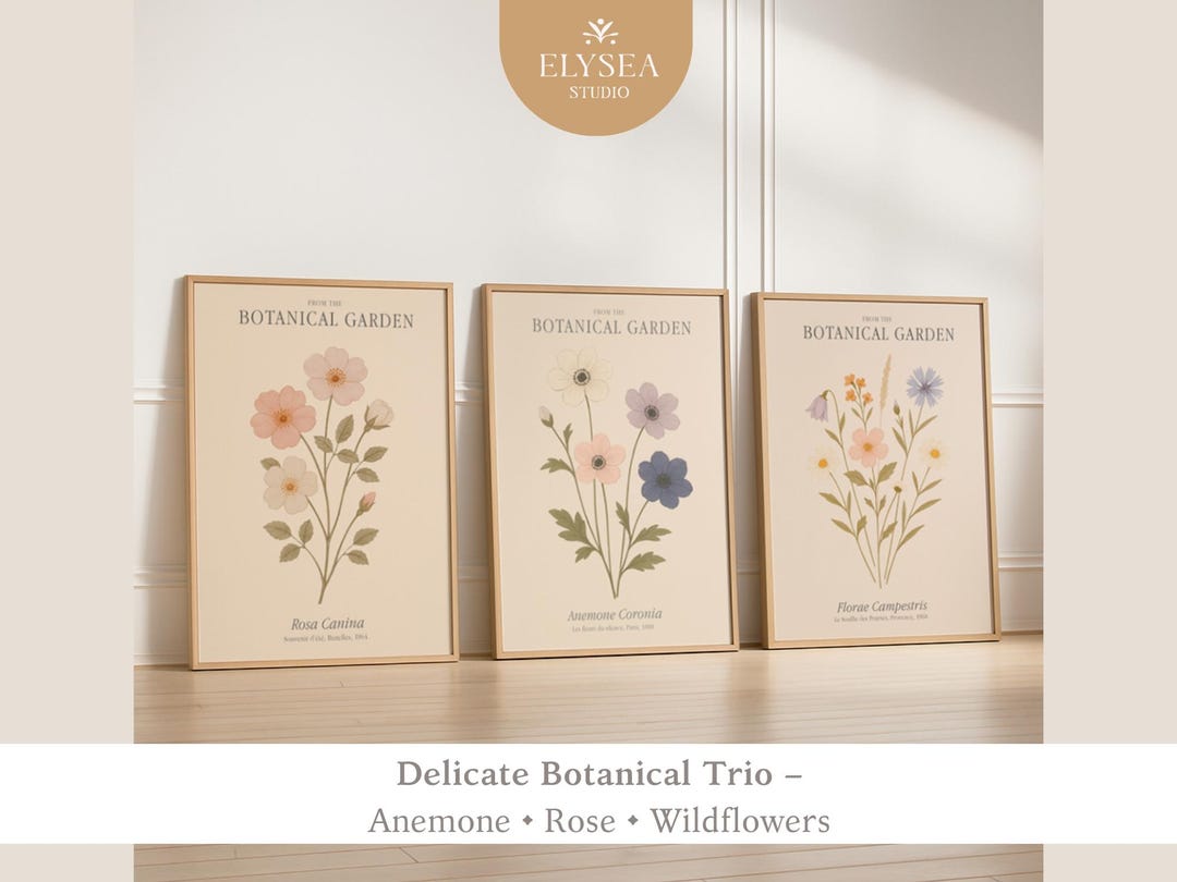 Botanical Wall Art Set of 3 • Anemone, Rose & Wildflower Prints ...