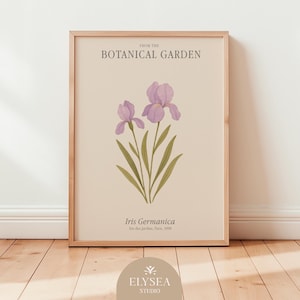 Iris des Jardins • Vintage Botanical Art Print – Iris germanica, Paris 1898 – Elegant French Floral Wall Art (A4 JPG)