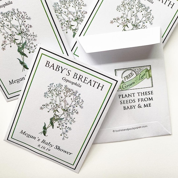 25 MINT GREEN BABY SHOWER FAVORS *OWL THEME*-BABYS BREATH SEEDS +