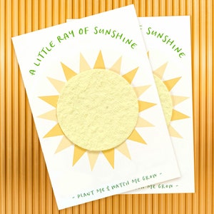 Seed Paper Party Favors - Ray of Sunshine - Set of 10 - 2.5 x 3.5 - Plantable favors - Wildflower please read description
