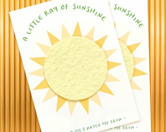 Plantable Baby Shower Favors | Ray of Sunshine | (Set of 10) 2.5" x 3.5" - Wildflower Seeds (please read description)