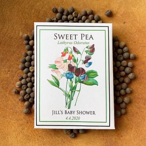 Baby in Bloom, Personalized Baby Shower Seed Packet Favors, Delicate Peach  Peony Floral