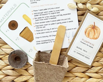 Pumpkin Patch Starter Kit | Activity Set: Seeds, peat soil pellet, compostable pot - directions included