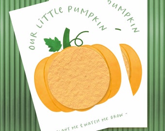 Little Pumpkin Shower Seeds™ | Plantable Baby Shower Favors | 2.5" x 3.5" (set of 10) - BLANK or PERSONALIZED - Wildflowers