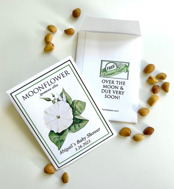 SEED FAVORS  LITTLE PUMPKIN freeshipping - Bushel & Peck Paper