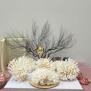 Natural White Coral, Real Ocean Coral Decor, Coasta, Home Decor, Aquarium Decoration, Real coral, aquarium, decorative aquarium coral, coral