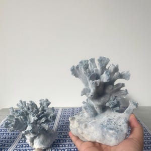 Blue Coral Specimen with Stone Base, Coastal Home Decor, Marine Life Art,  Aquarium Decor, Blue Coral, Natural blue Coral, Aquarium Coral