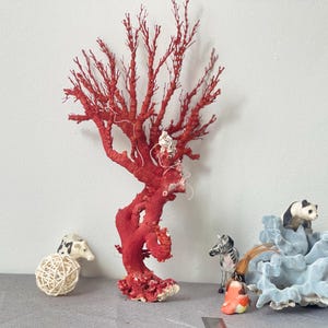 Natural Red Coral Tree Decor W 25cm; H 40cm; Aquarium & Home Ornament, Coastal Beach House Gift, Craft Supply, Decorative coral, red coral