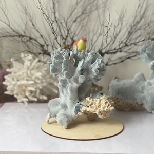Natural Blue - White Coral Decor, Aquarium Decor, Home Decor, Unique Gift, Natural Collectible,Home&Living Decor, A gift, Coral Decor