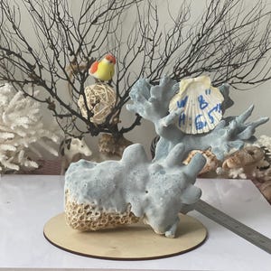 Natural Blue - White Coral Decor, Aquarium Decor, Home Decor, Unique Gift, Natural Collectible,Home&Living Decor, A gift, Coral Decor