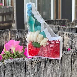 Choose Any State- State Shaped Candy Tray Custom 3D Printed Treat Box Reusable Candy Gift Personalized State Pride Gift