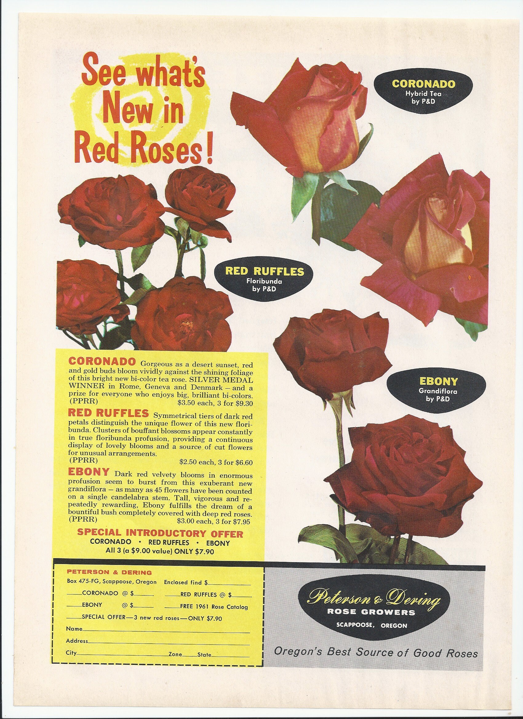 Original 1961 Red Rose Advertisement Etsy