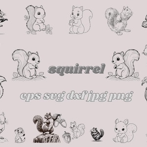 Ensemble Svg écureuil mignon, écureuil dansant PNG & SVG Bundle, sublimation de silhouettes SVG écureuil, chemise png silhouette coupe des fichiers pour cricut