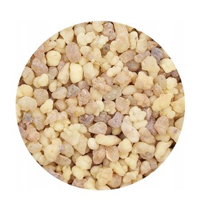Weihrauchträne / Premium / Boswellia Carteri