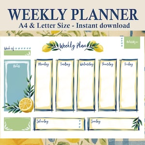 Planejador semanal para impressão, A4/Carta, Cronograma semanal, Agenda semanal, Páginas do planejador semanal sem data, Download instantâneo, Feito pelo homem, Provença