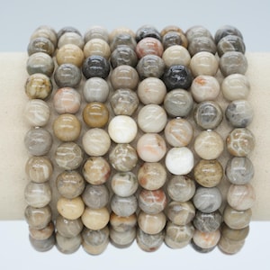 AA+ Fossilized Coral Bracelet in Natural Beads 4/6/8/10 mm 18-19 cm, Semi-Precious Stone Bracelet, Natural Stone Bracelet