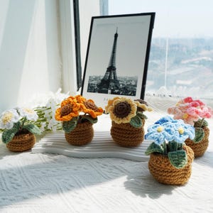 Könnte beinhalten: Fünf gehäkelte Blumenarrangements in kleinen braunen Töpfen. Die Blumen sind in verschiedenen Farben, darunter Weiß, Orange, Gelb, Rosa und Blau. Im Hintergrund befindet sich ein gerahmtes Schwarz-Weiß-Foto des Eiffelturms.