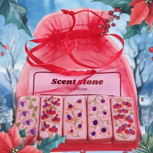 Scent Stone, Essential Oil Diffuser, Home Air Freshener, Aroma Therapy Spa Fragrance, Unique Room Fragrance Stone 5 pcs