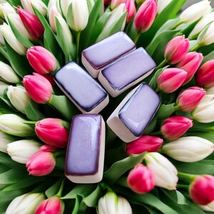 Scent Stone, Essential Oil Diffuser, Home Air Freshener, Aroma Therapy Spa Fragrance, Unique Room Fragrance Stone 5 pcs