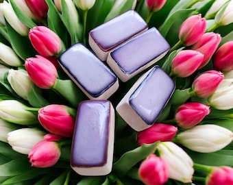Scent Stone, Essential Oil Diffuser, Home Air Freshener, Aroma Therapy Spa Fragrance, Unique Room Fragrance Stone 5 pcs