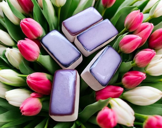Scent Stone, Essential Oil Diffuser, Home Air Freshener, Aroma Therapy Spa Fragrance, Unique Room Fragrance Stone 5 pcs