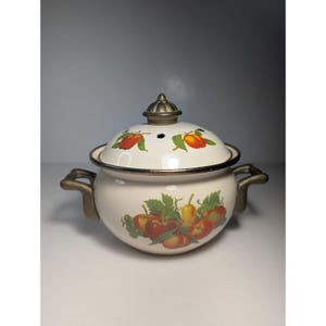 Può includere: Una pentola in smalto color crema con coperchio abbinato, caratterizzata da un motivo a frutta colorata con mele e pere. La pentola è dotata di due manici metallici e di un pomello metallico sul coperchio con fori di ventilazione.