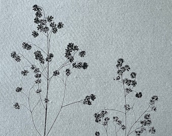 Original monotype print Modern botanical art. Quaking Grass. Printed with love & nature on Khadi paper. Minimal monochrome wall decor. A5