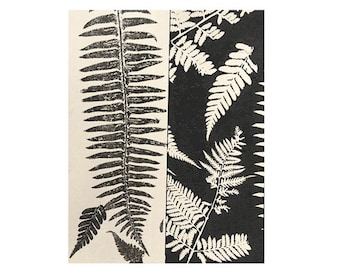 Monochrome botanical wall decor. Original hand pulled nature print. Fern art by Stef Mitchell. Modern organic floral art Black ink on cream