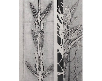 Contemporary botanical original print. Monochrome art Black & Grey on Cream. Made from nature by Stef Mitchell. Organic Abstract Wall Decor