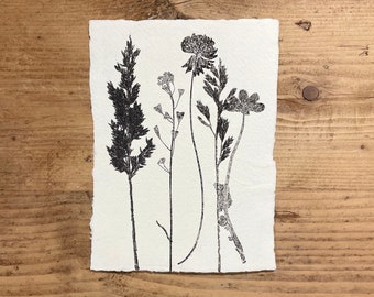 Original handmade Nature print. Wildflower and Grass. Handprinted on Khadi Paper. Rustic Botanical wall art made with Love & Nature.