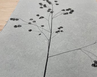 Impression monotype originale Art botanique moderne. Herbe tremblante. Imprimé avec amour et nature sur du papier Khadi. Décoration murale monochrome minimale. A5