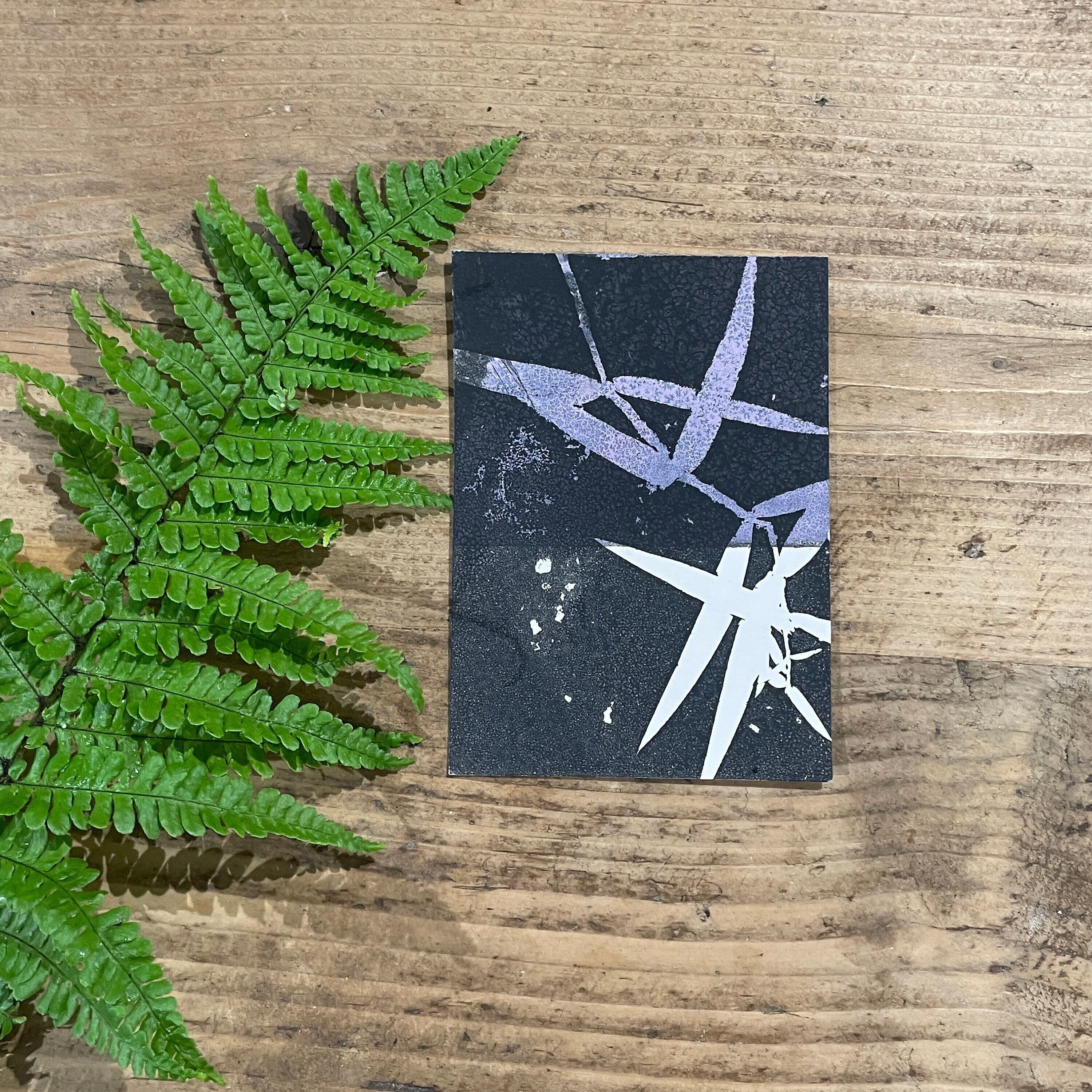 Stef Mitchell UK - Main Image