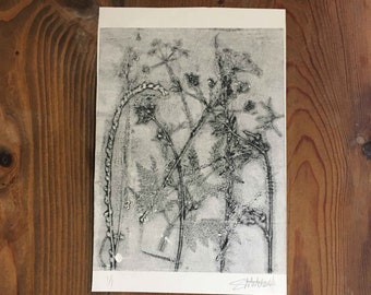 Original botanical nature monotype print. Monochrome art Black Grey Cream. Handprinted by Stef Mitchell. Organic wildflower Wall Decor