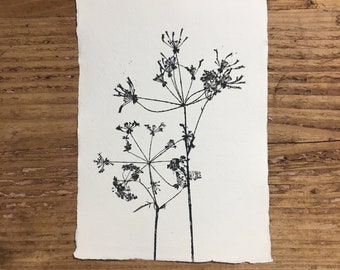 Original handmade Wild Flower print. Cow Parsley. Handprinted onto Khadi Paper. Minimal botanical wall art made with Love & Nature.