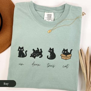 Un Deux Trois Cat Shirt, Cute Black Cat Shirt, Cat Person Gift, Catful Cat Mom Gift, Gift For Catlover, Cat Lady Shirt, Cat Themed Gifts